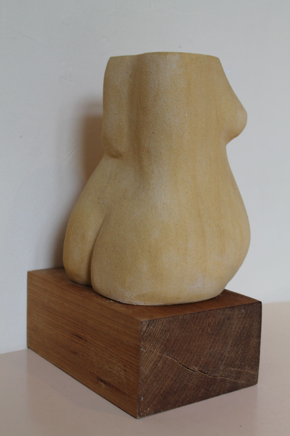 zwanger torso