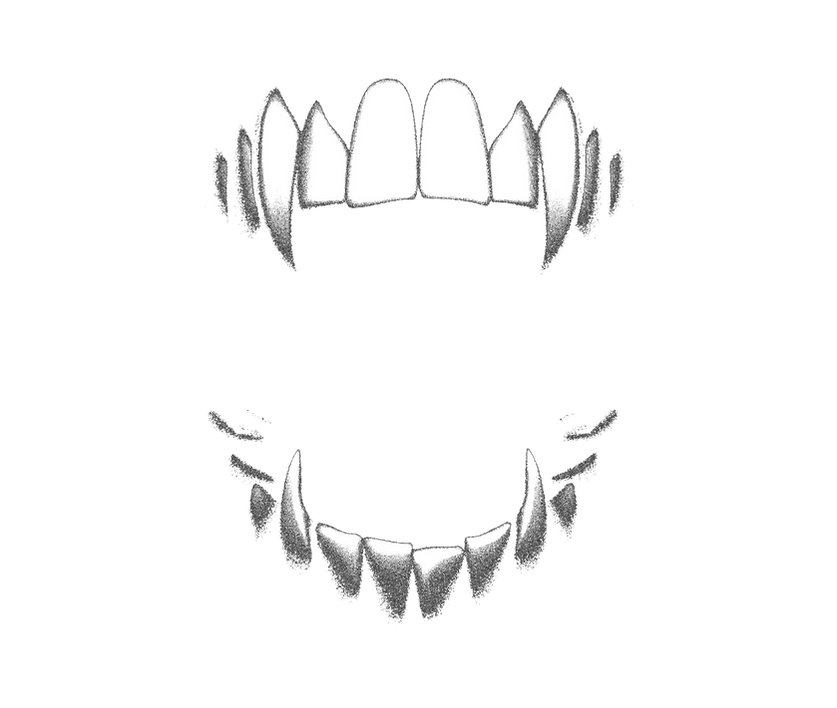 teeth1.png