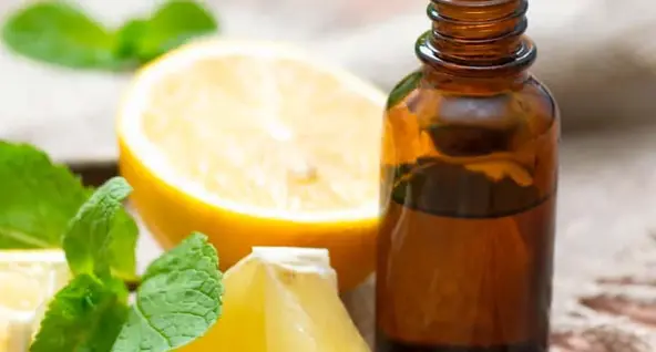 curso de velas para emprender