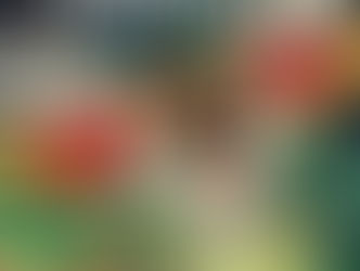 New Comics this week at Green Shift Tampa