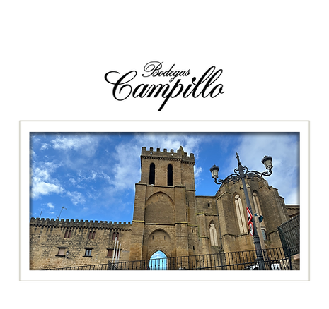 Campillo - Intro Button .png