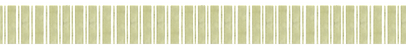 FRANJA LINEAS VEREDES.png