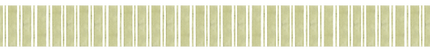 FRANJA LINEAS VEREDES.png