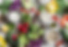 AEnB2UqtCigst-ri4XJeFnEj2aSyxf9ExnsyCZsAqLuKKzGeKldA8nLWuJMDhxWUe2_JInNZK311vY6GVLKo2-vF1Q