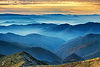 AdobeStock_97196043.jpeg