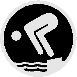 dsp-silber.gif