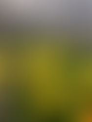 Delighting in Warmth