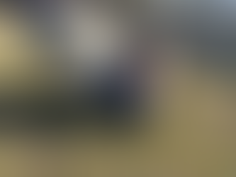 Power Raking Your Lawn in Spruce Grove, Alberta: A Spring Essential