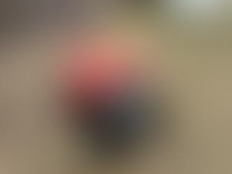 Aerating Your Lawn in Spruce Grove, Alberta: A Step Toward a Healthier, Greener Yard