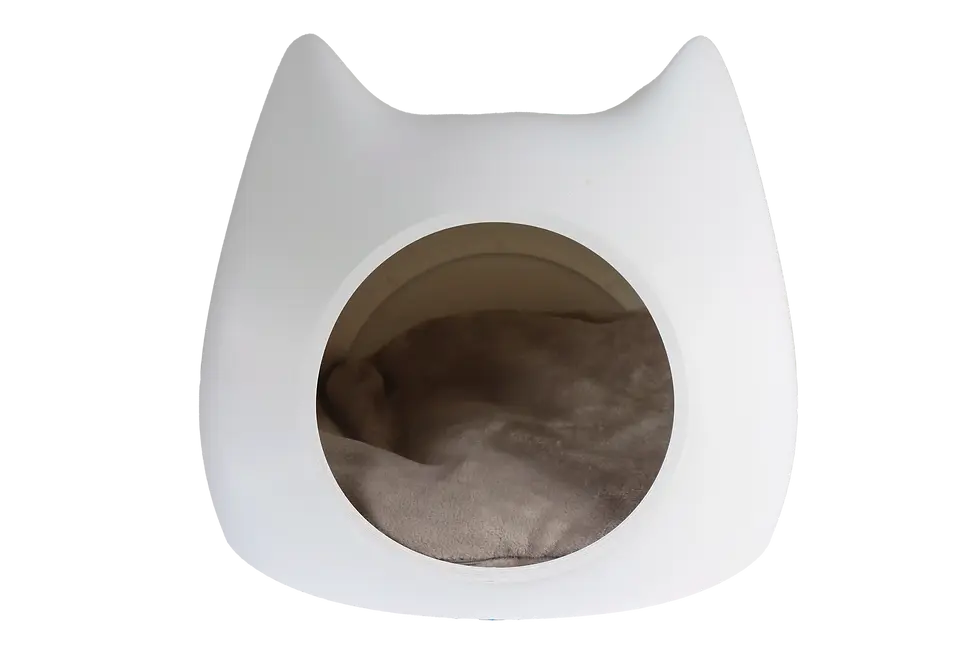 Miniature : "Flocon" Boîte à Chat imprimée en 3D