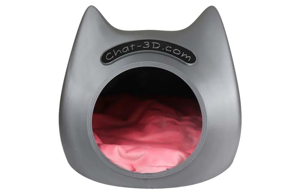 Miniature : "Souris" avec le nom de votre chat