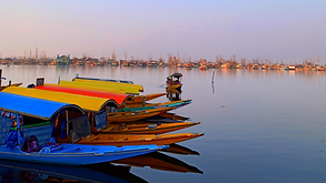 Shikara ride in Dal lake