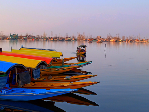 A shikara ride in Dal lake 