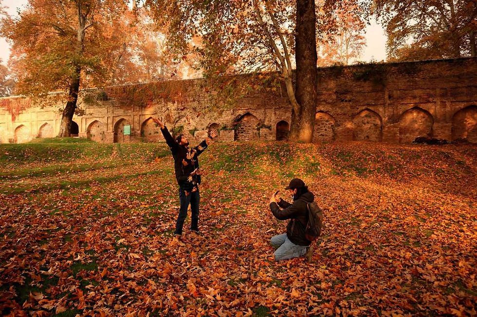 Autumn in Kashmir