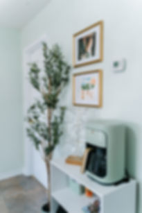 Faux Olive Tree