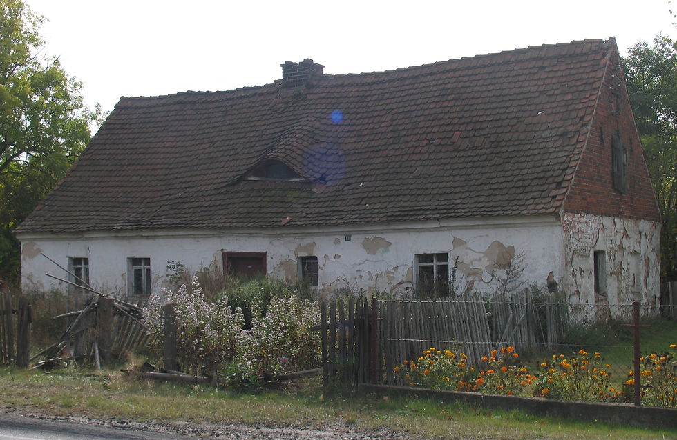 Szprotawka