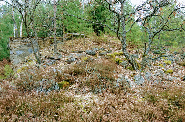 DSC_2159.JPG