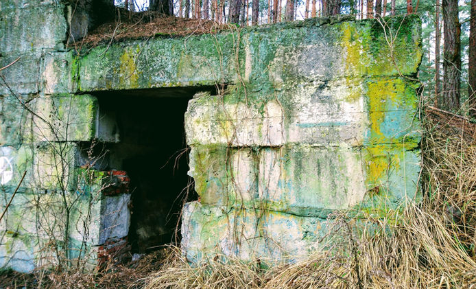 DSC_1804.JPG