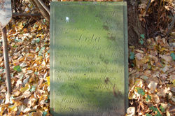 Puszcza Wiechlicka, cm. Cieciszów