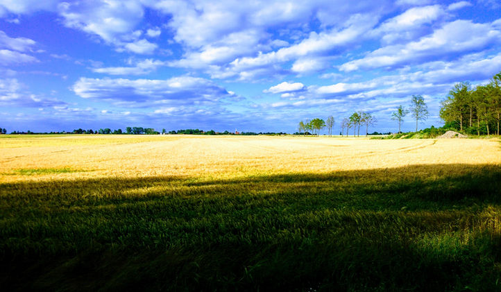 DSC_3759.JPG