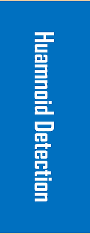 Humanoid-Detection-Vertical-L.png
