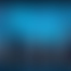 Pensamento Estratégico e a Liderança na ‘Nova’ DIRFIN