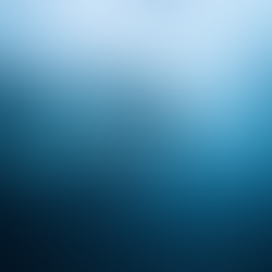 【氷点下の海へ】知床・流氷フリーダイビングという“異世界体験”