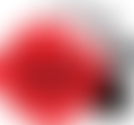 Living Wage Movement 