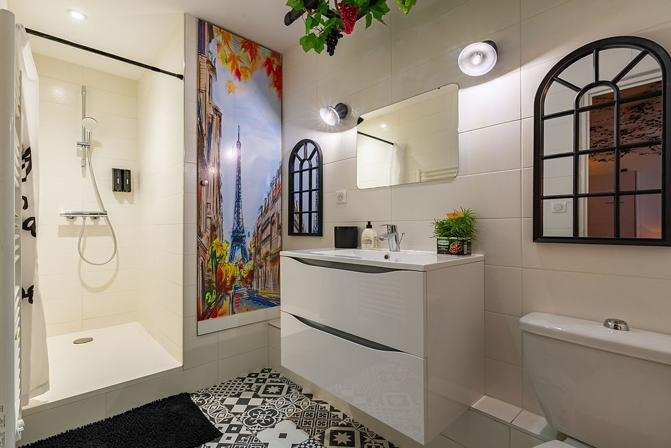 appartement-deco-insolite-dijon.jpg.jpg