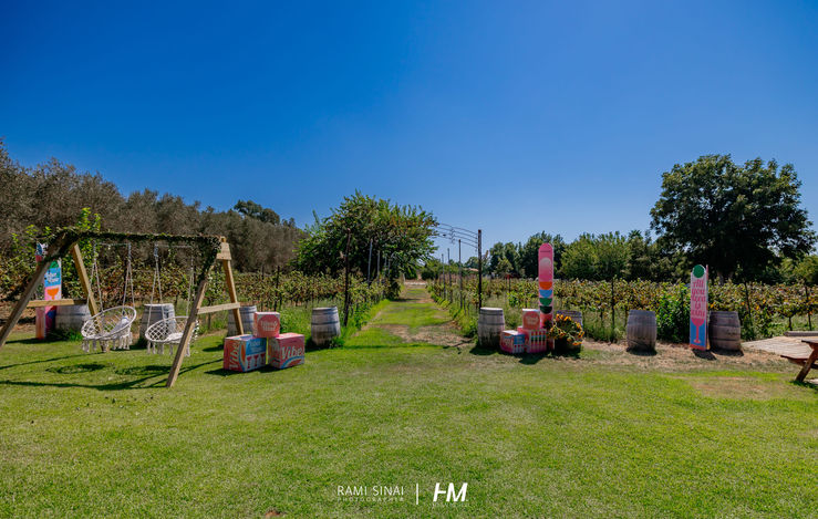 מבט פנורמי רחב על מתחם אירוע הקיץ TRANSMIT ✦ SUMMER. המרחב כולל מדשאות ירוקות רחבות ידיים עליהן פזורים אלמנטים עיצוביים: מבנה נדנדות עץ עם כורסאות לבנות תלויות, חביות יין דקורטיביות, וקוביות ממותגות בצבעוניות עזה. ברקע נראים כרמים ומטעים תחת שמיים כחולים ונקיים. צילום: רמי סיני. הפקה: חגי מגידו – HM Productions.