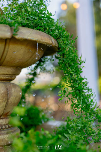 תקריב על זרימת מים עדינה ממזרקת אבן קלאסית באירוע Night Of Love ✦ Priority. המזרקה מעוטרת בצמחייה ירוקה ומשתרכת הנשפכת מצדדיה, על רקע מטושטש של מתחם האירועים המואר באור רך. הפקה: חגי מגידו – HM Productions.