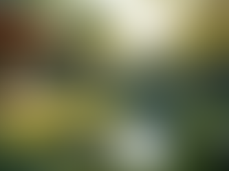 Empowering Incarcerated Women: A Path to Recovery