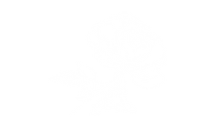 roa-01.png