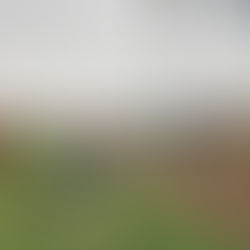 𝟳°𝙎𝙚𝙧𝙚𝙣𝙞𝙨𝙨𝙞𝙢𝙖 𝙋𝙖𝙧𝙖 𝘼𝙩𝙝𝙡𝙚𝙩𝙞𝙘𝙨 𝙈𝙚𝙚𝙩𝙞𝙣𝙜 - 𝙎𝙖𝙗𝙖𝙩𝙤 𝟭𝟯/𝟬𝟵/𝟮𝟬𝟮𝟱