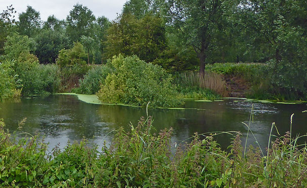 Felmersham - Odell - July - 2015 (8).JPG