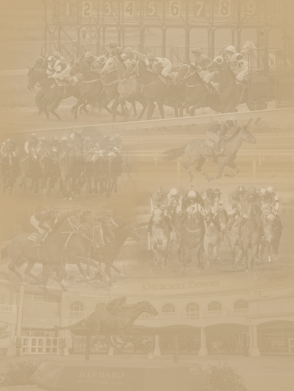 Dixie Valley Ranch-SB-S26-Page11.pdf.png