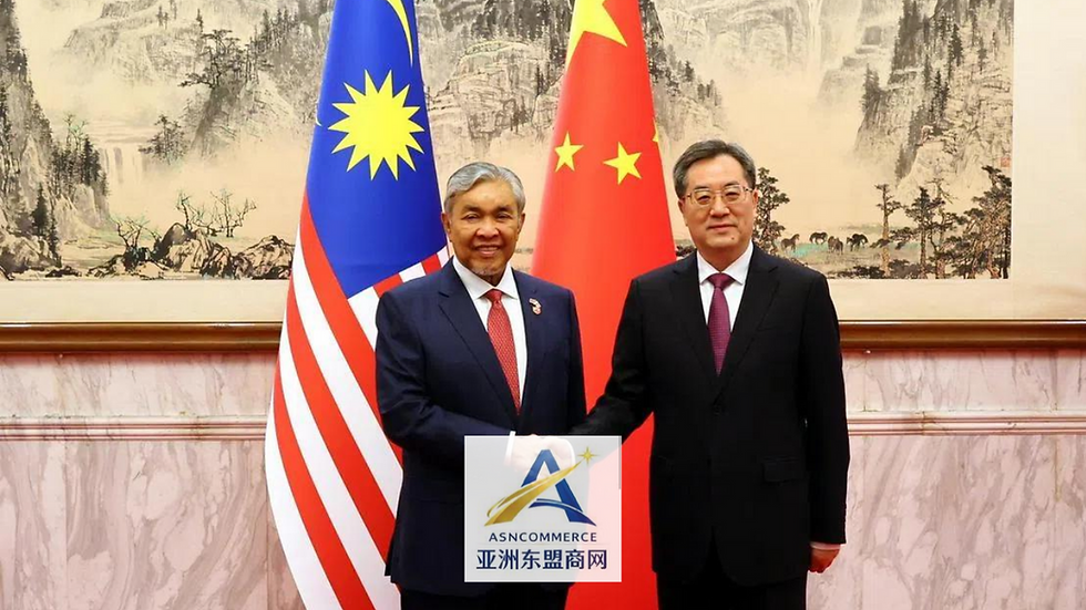 中国力挺大马加入金砖!东盟、中国、海合会合作再升级 人民币结算成焦点