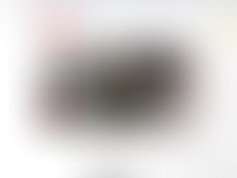 Article de presse sur nos activités d'hiver à La Mongie