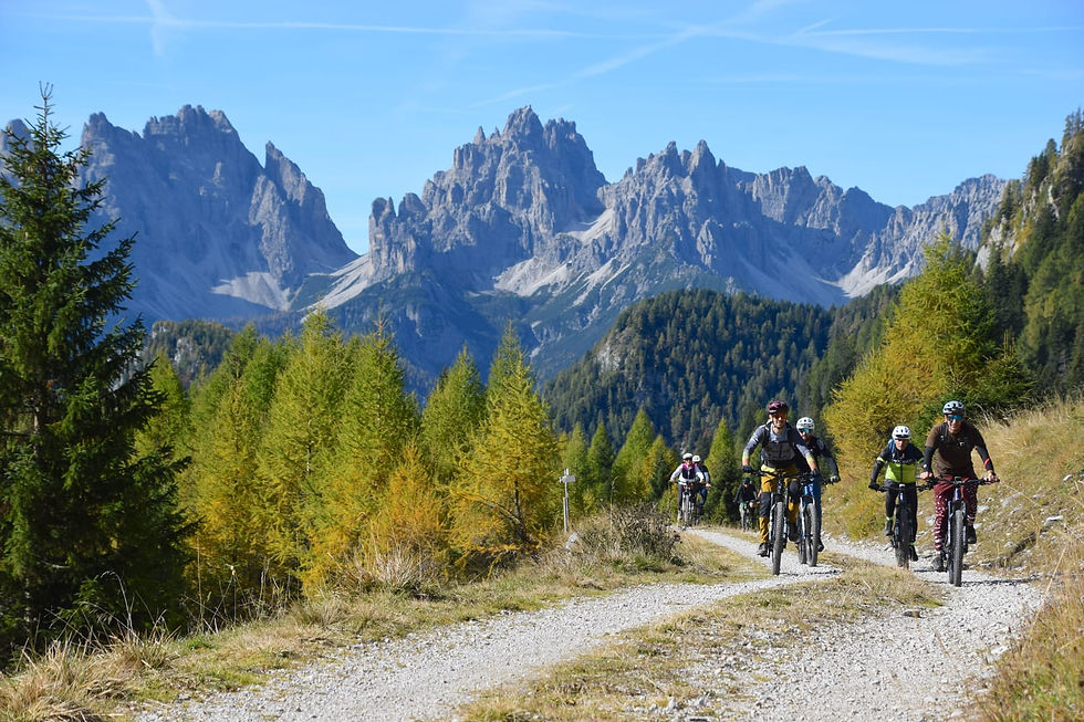Respiro d'alta quota: eBike e sapori di malga- Forni di Sopra (UD)