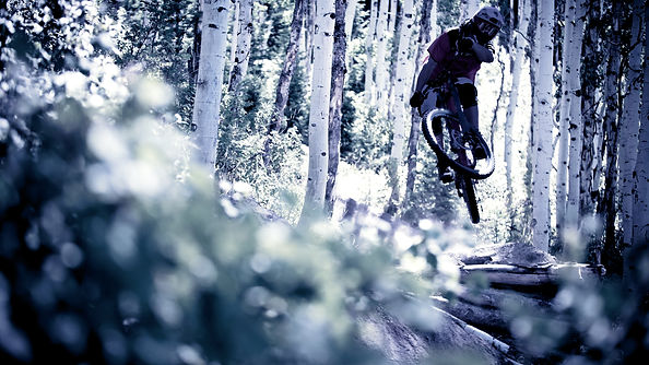 Mountain Biker in the Woods_edited.jpg