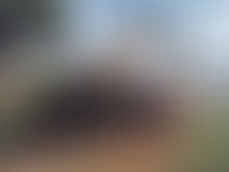 Parenzana on the Road con Ride and Fun