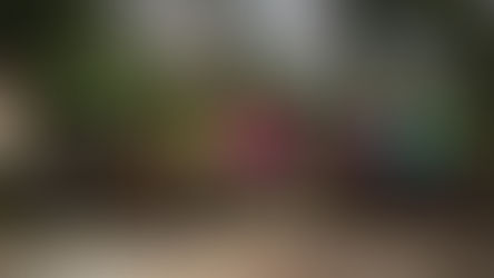 1° Edizione di HAPPY 8 Marzo: la bicicletta tutta al femminile