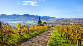 Valle del Vipacco in bici con Federica Riosa | Ride&Fun