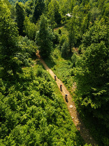 Zore Trail