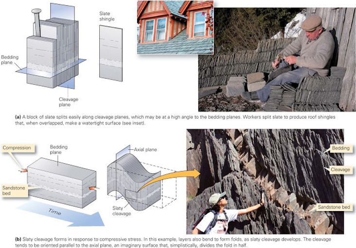 fig19_4.jpg