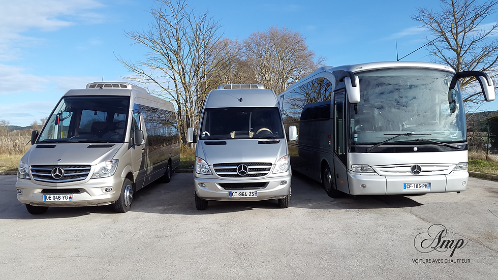 Sprinter and Tourino Coach