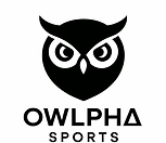 Black owl logo with text OWLPHA SPORTS, a modern design