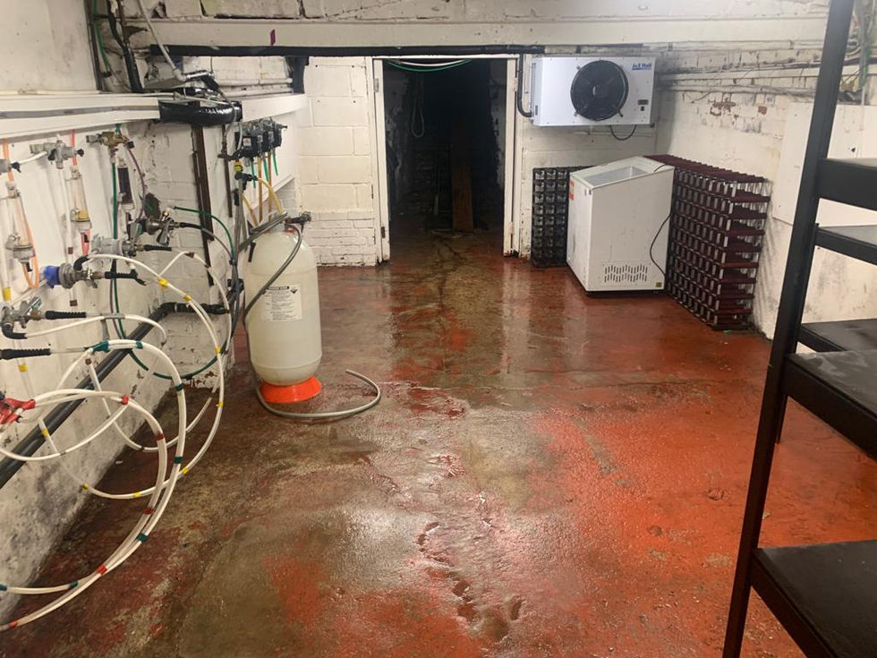 Nice to have a clean cellar