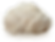 Lion's Mane