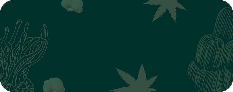 #1 _ Category banner _ Mobile